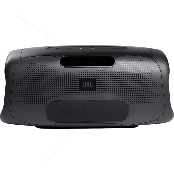 JBL BassPro GO
