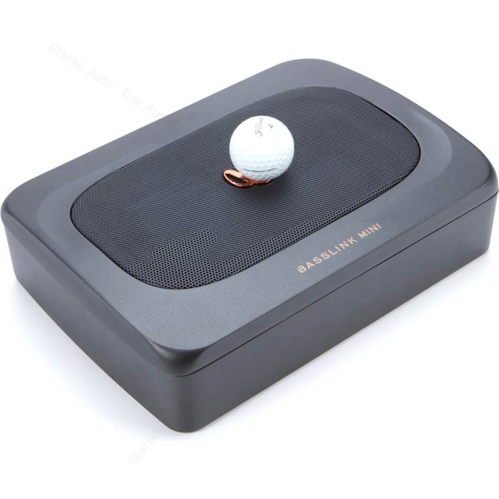 Infinity BassLink MINI