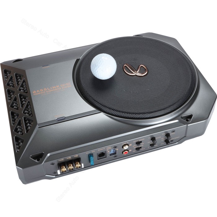 Infinity BassLink SM2