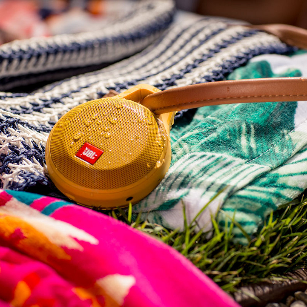 Speaker bluetooth portatile, modello JBL Clip+ plus, diffusore cassa senza fili wireless. Resistente alle intemperie, per l'escursionismo in montagna o il pic nic in un prato.
